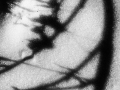 shadow-snow-bw-065