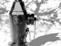 warrenville-fire-hydrant-bw