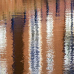 Ashton Canal (2008) 2