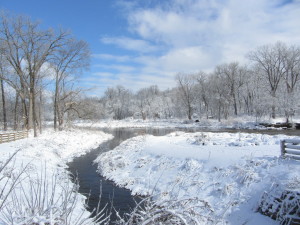 Warrenville Grove, 12 March 2014