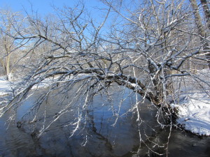 DuPage River, West Branch, 12 March 2014